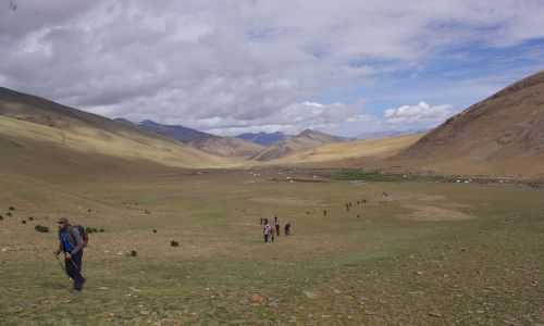 TREKKING IN LADAKH | CHANGTANG 2017